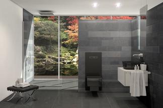 WC-Terminal TECElux in schwarz