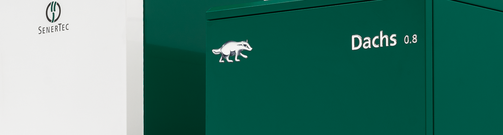 Dachs 0.8